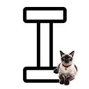 Text cursor